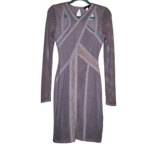 BCBG Mesh Net Bodycon Dress